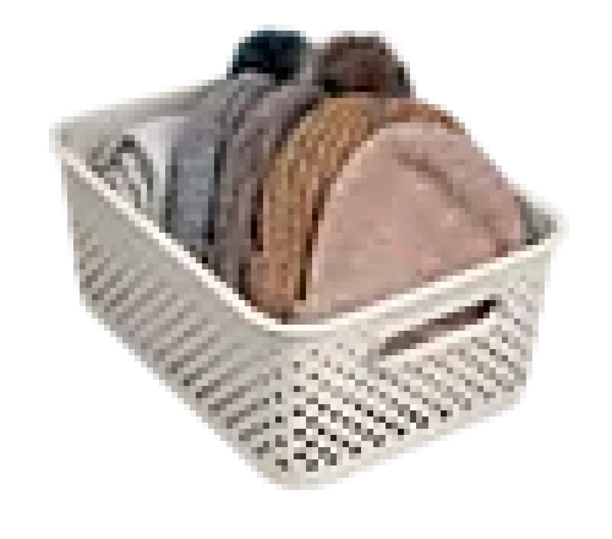 Oppbevaringsboks L en-Smartstore Discount