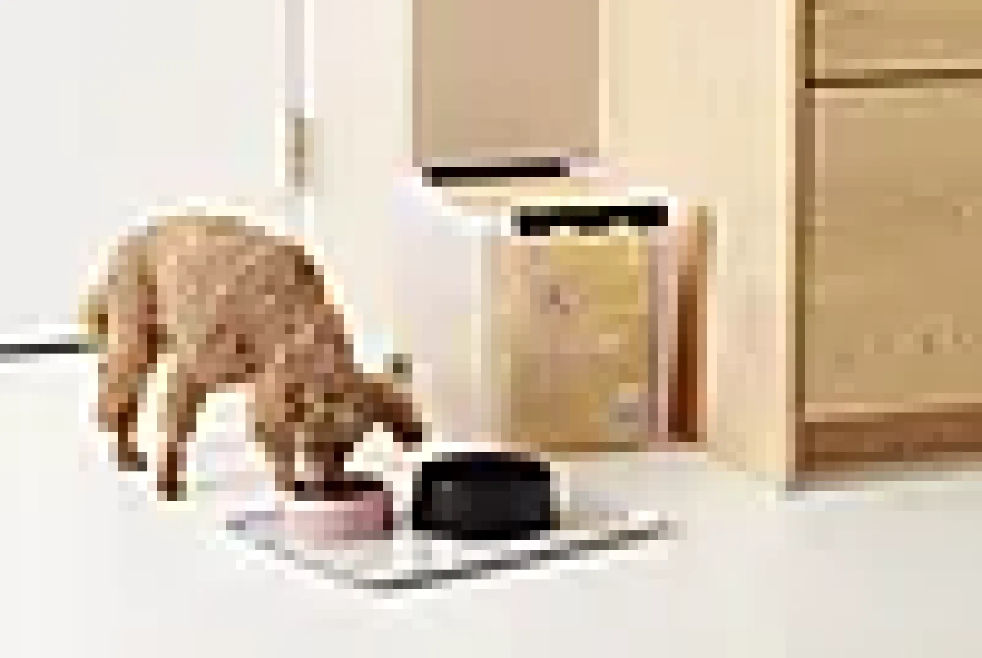 Oppbevaringsboks med lokk Classic 25l-Smartstore Clearance