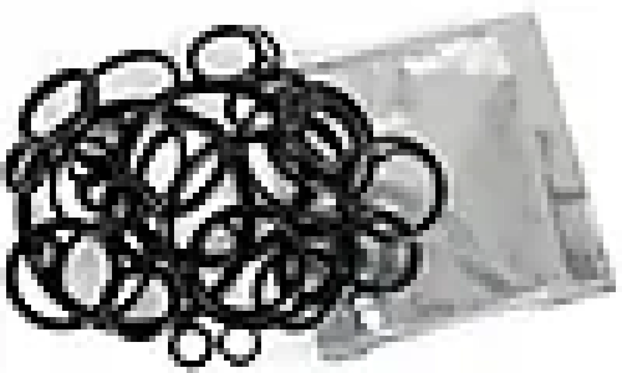 O-Ringsett-Gelia New