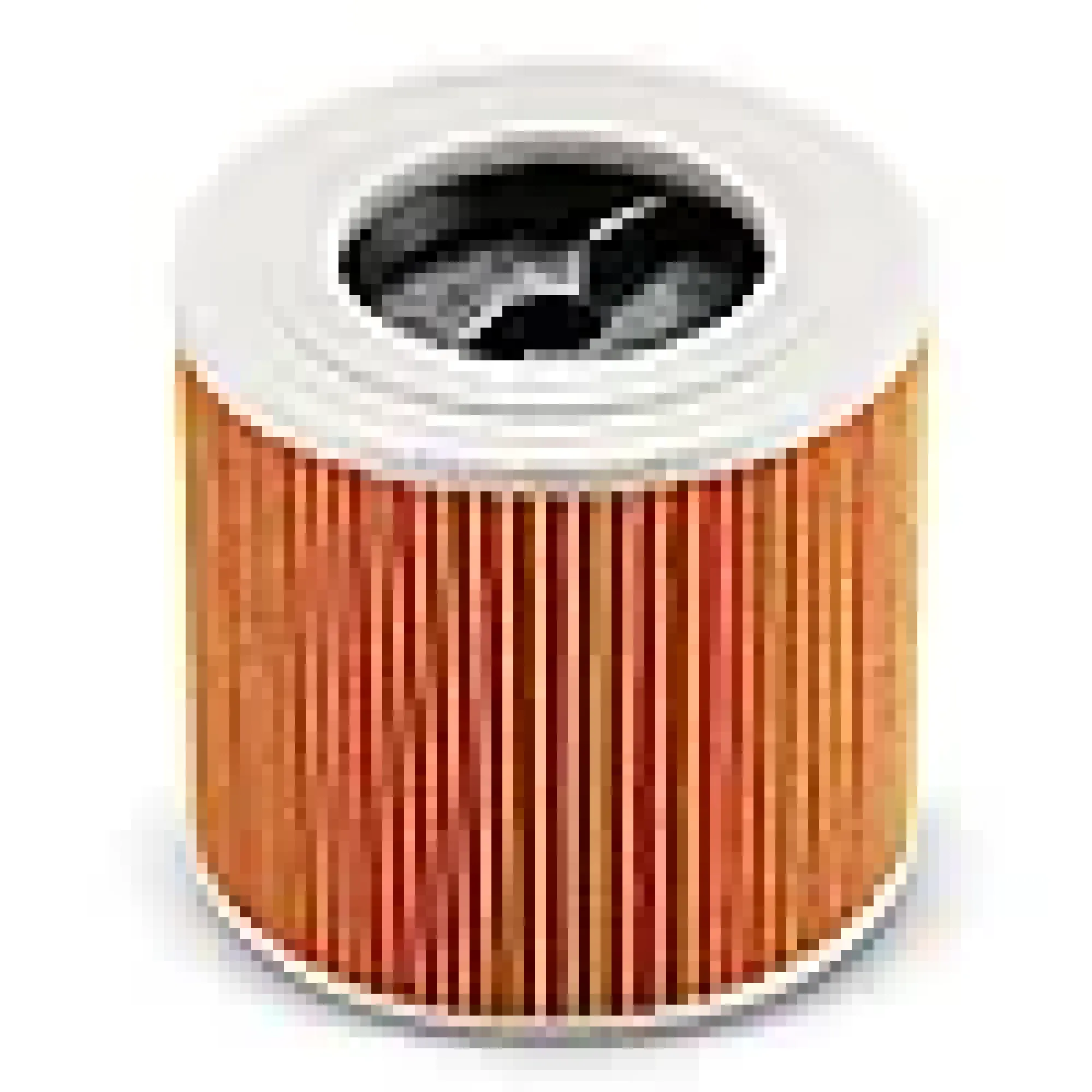 Patronfilter for WD3 og WD2 og SE 4 plus-Kärcher Sale