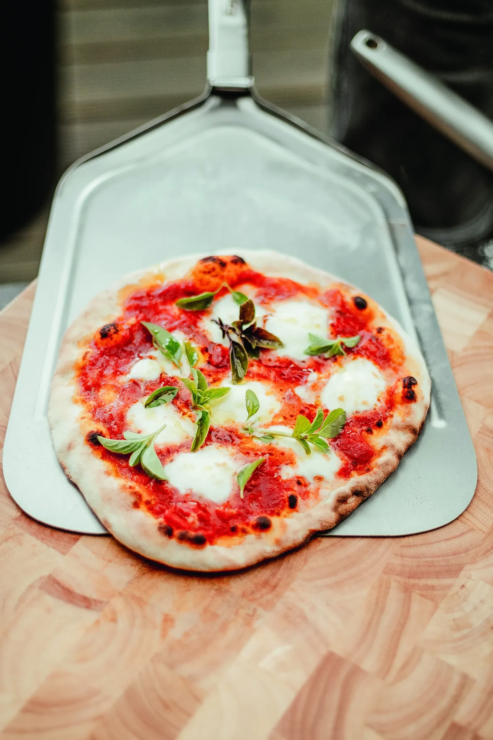 Pizzaspade-Enders Clearance