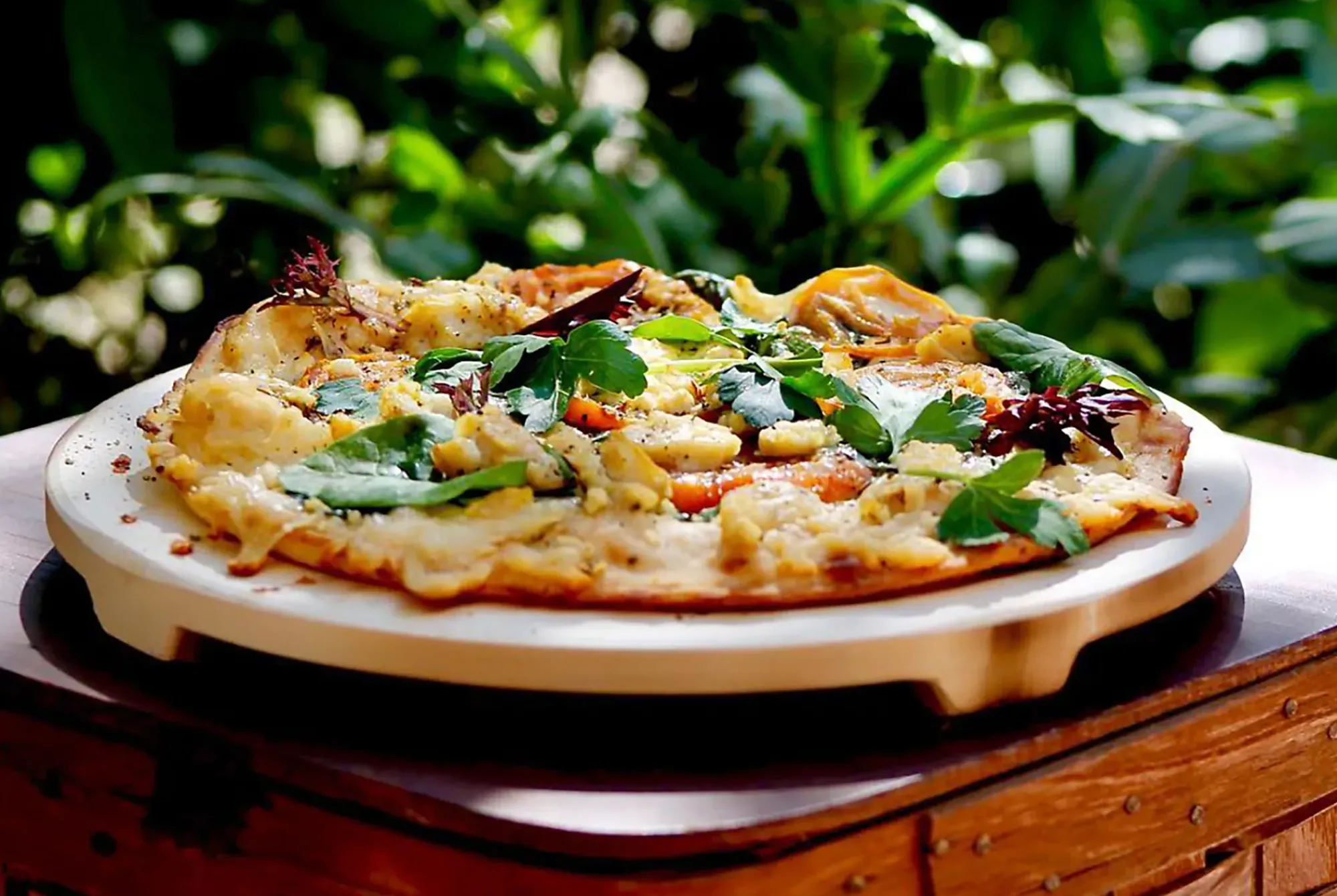Pizzastein premier Grill-Cobb New