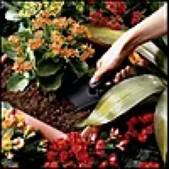 Planteskje-Fiskars Discount