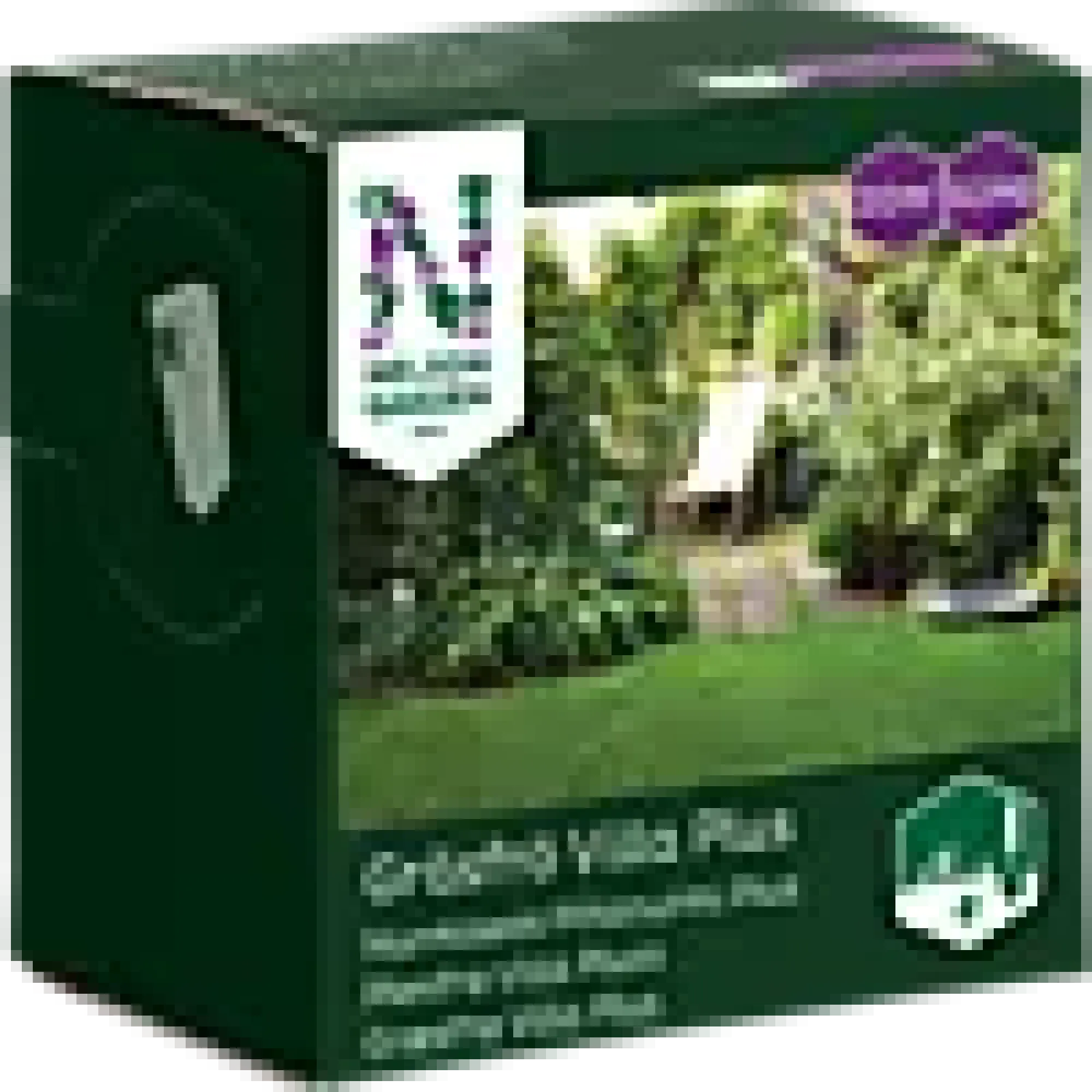 Plenfrø Villa Pluss 1/2kg-Nelson garden Online