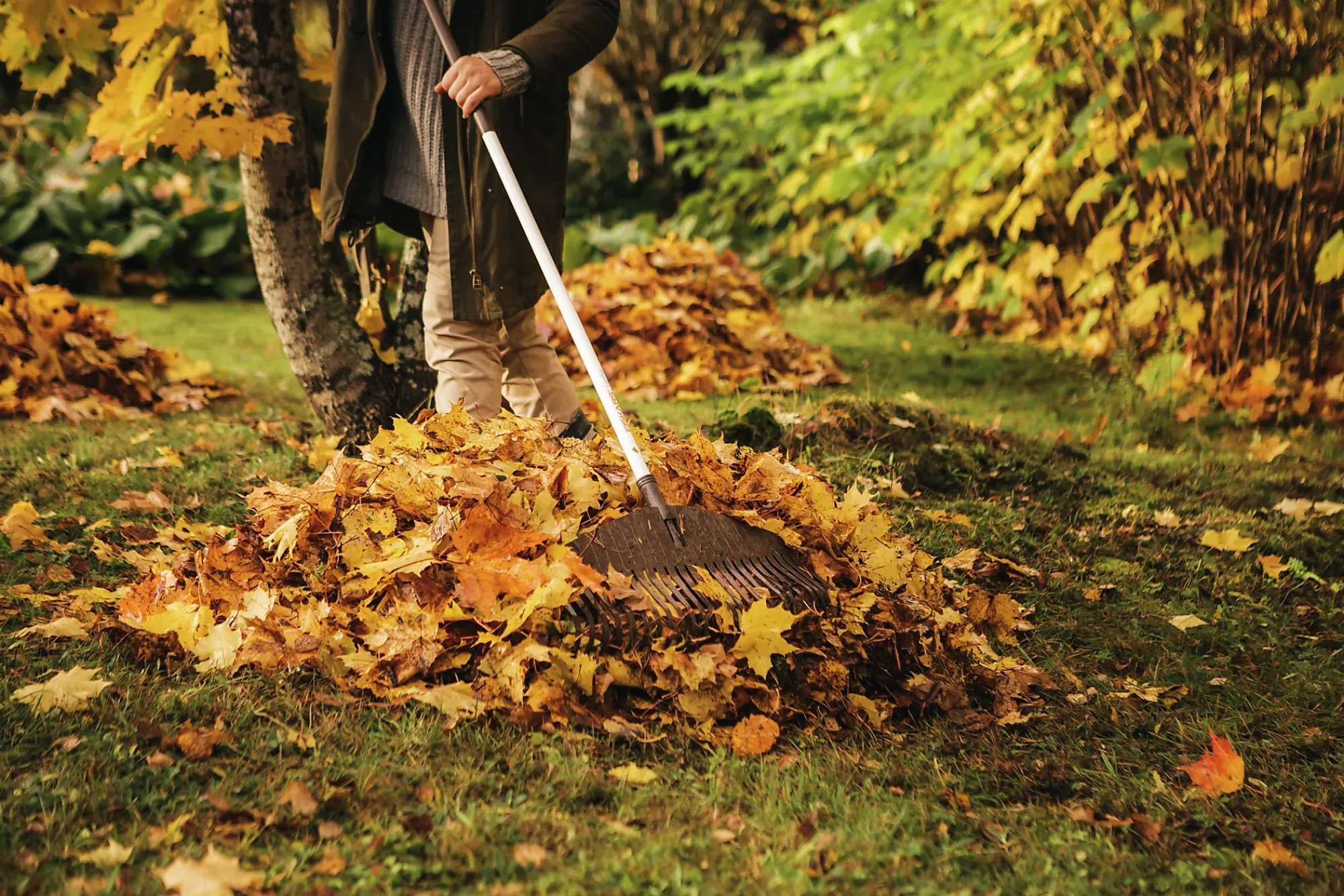 Plen og løvrive white-Fiskars Clearance