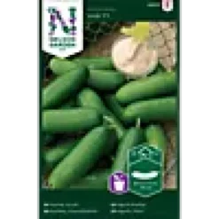 Porsjonsfrø agurkpotte- izn f1-Nelson garden Outlet