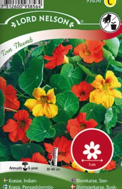 Porsjonsfrø blomkarse tom thum-Nelson garden Hot