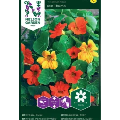 Porsjonsfrø blomkarse tom thum-Nelson garden Hot