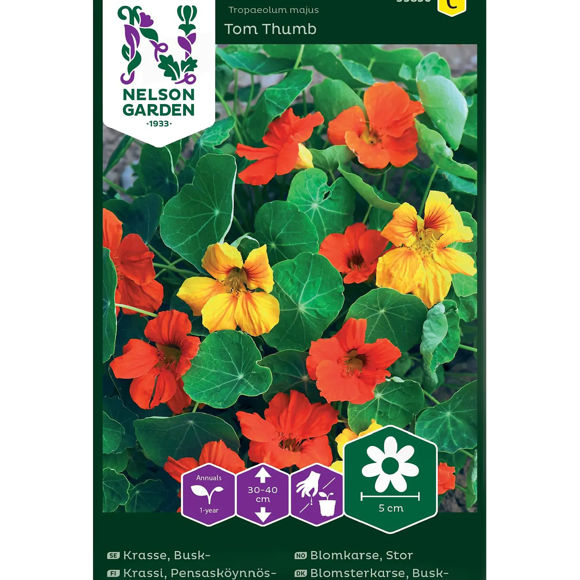 Porsjonsfrø blomkarse tom thum-Nelson garden Hot