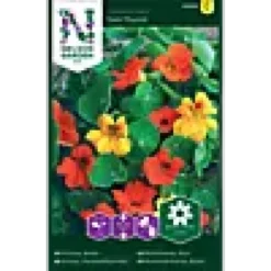 Porsjonsfrø blomkarse tom thum-Nelson garden Hot