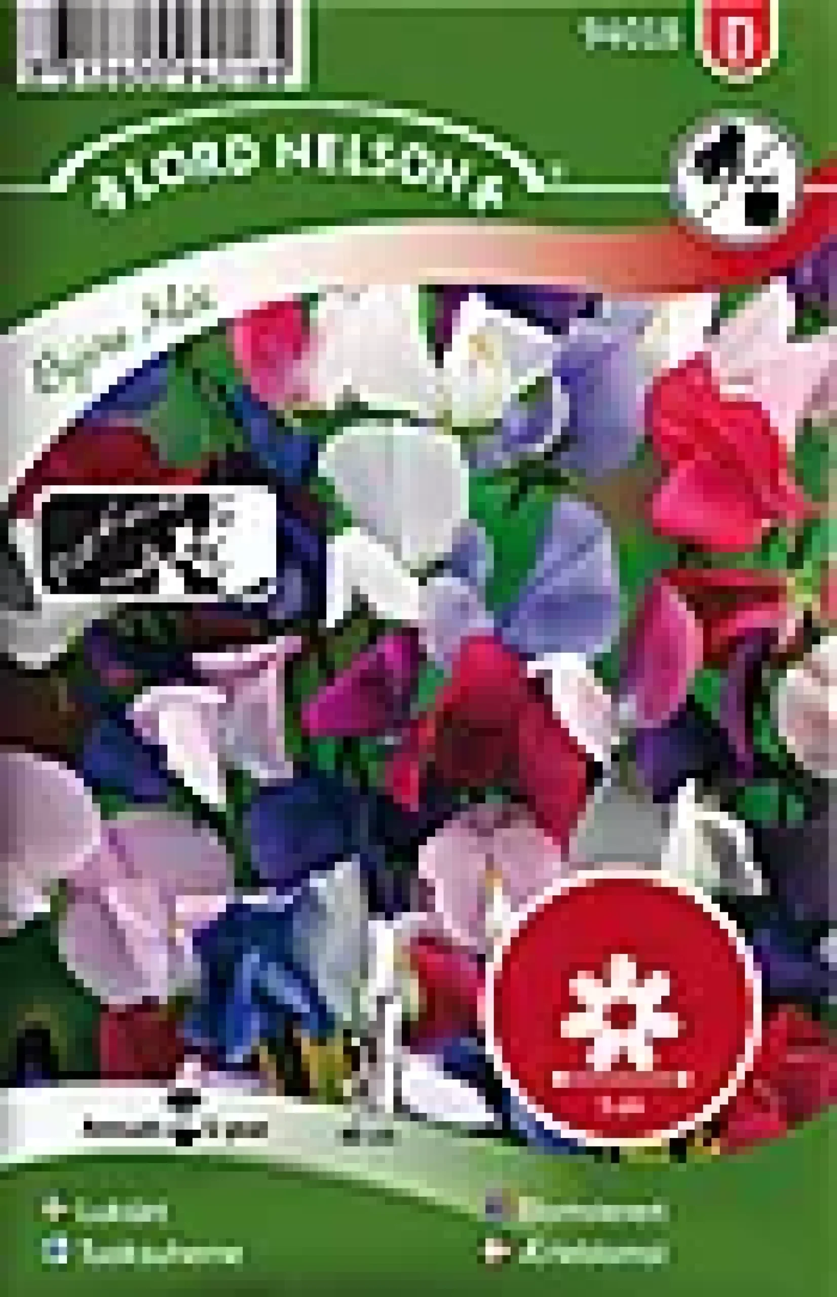 Porsjonsfrø blomsterert bijou lav-Nelson garden New