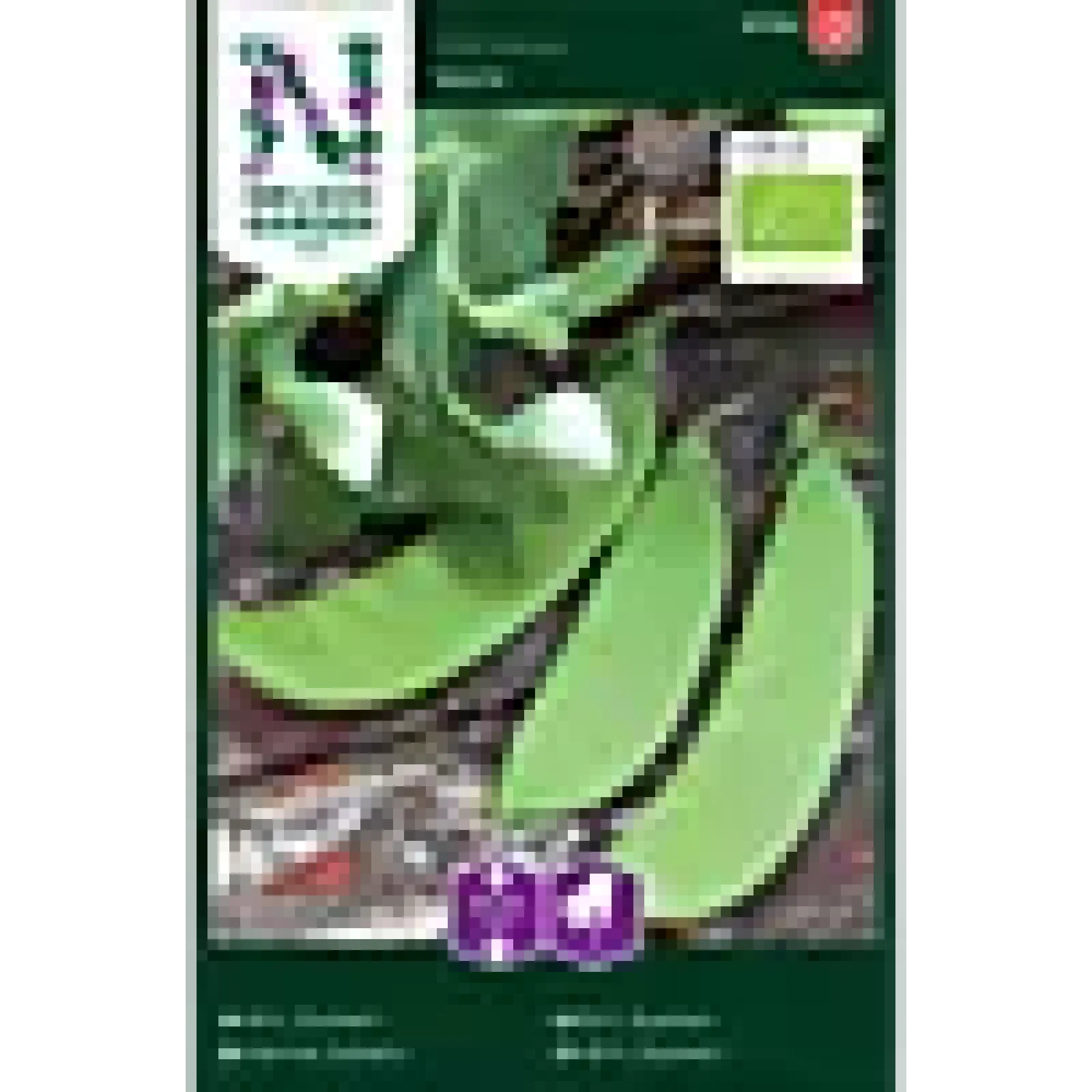 PORSJONSFRØ ERT, SUKKER-, NORLI, ORGANIC-Nelson garden Discount