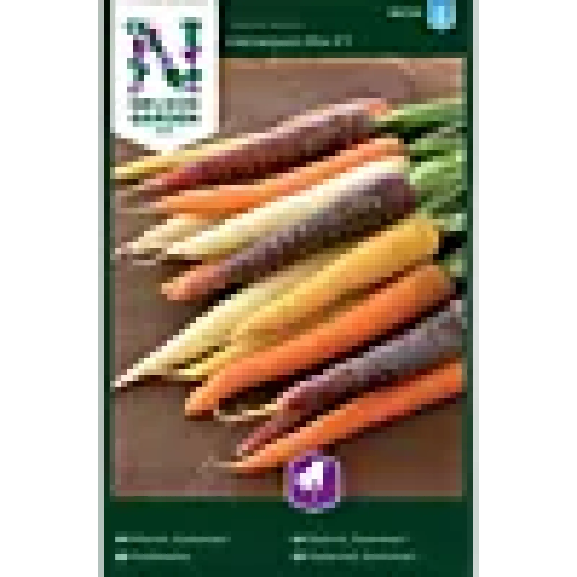 Porsjonsfrø gulrot sommer -H-Nelson garden Discount
