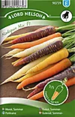Porsjonsfrø gulrot sommer -H-Nelson garden Discount