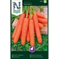 Porsjonsfrø gulrot sommer- nan-Nelson garden Sale