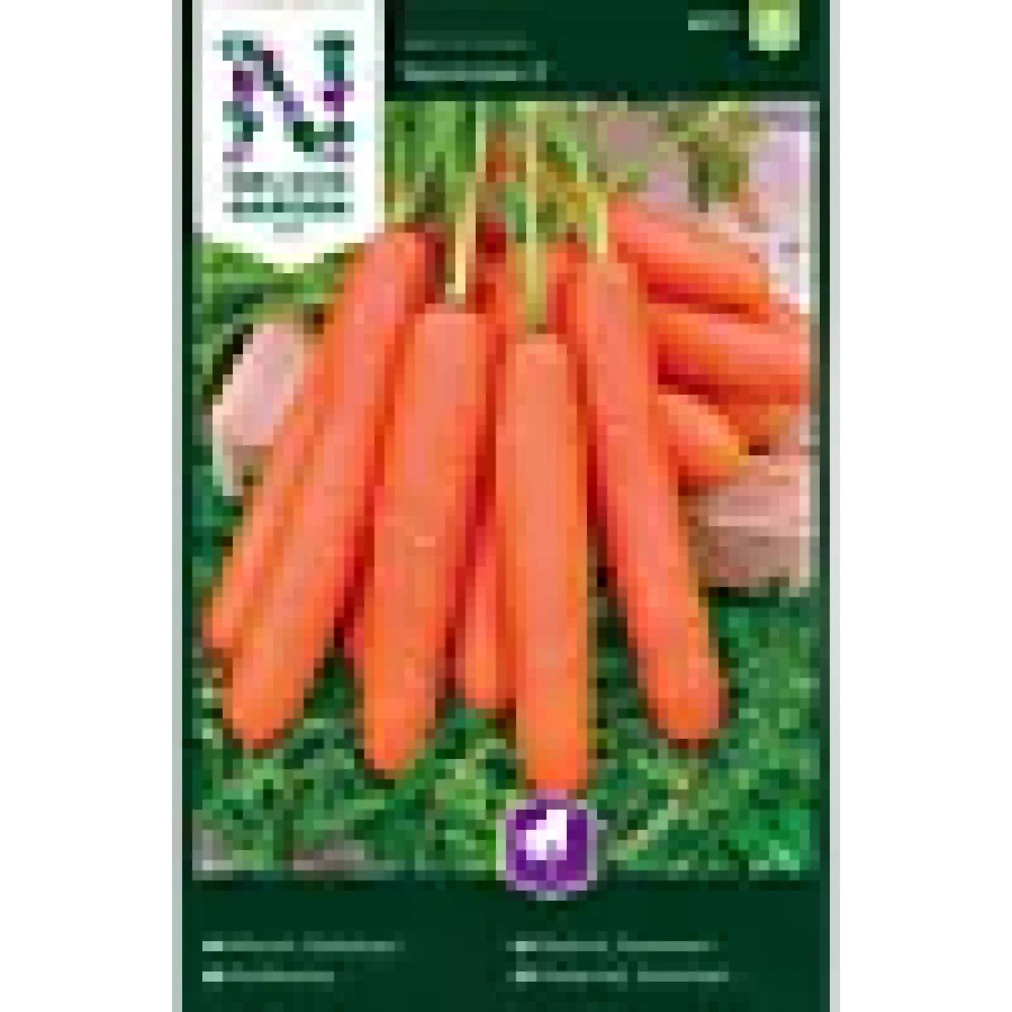 Porsjonsfrø gulrot sommer- nan-Nelson garden Sale