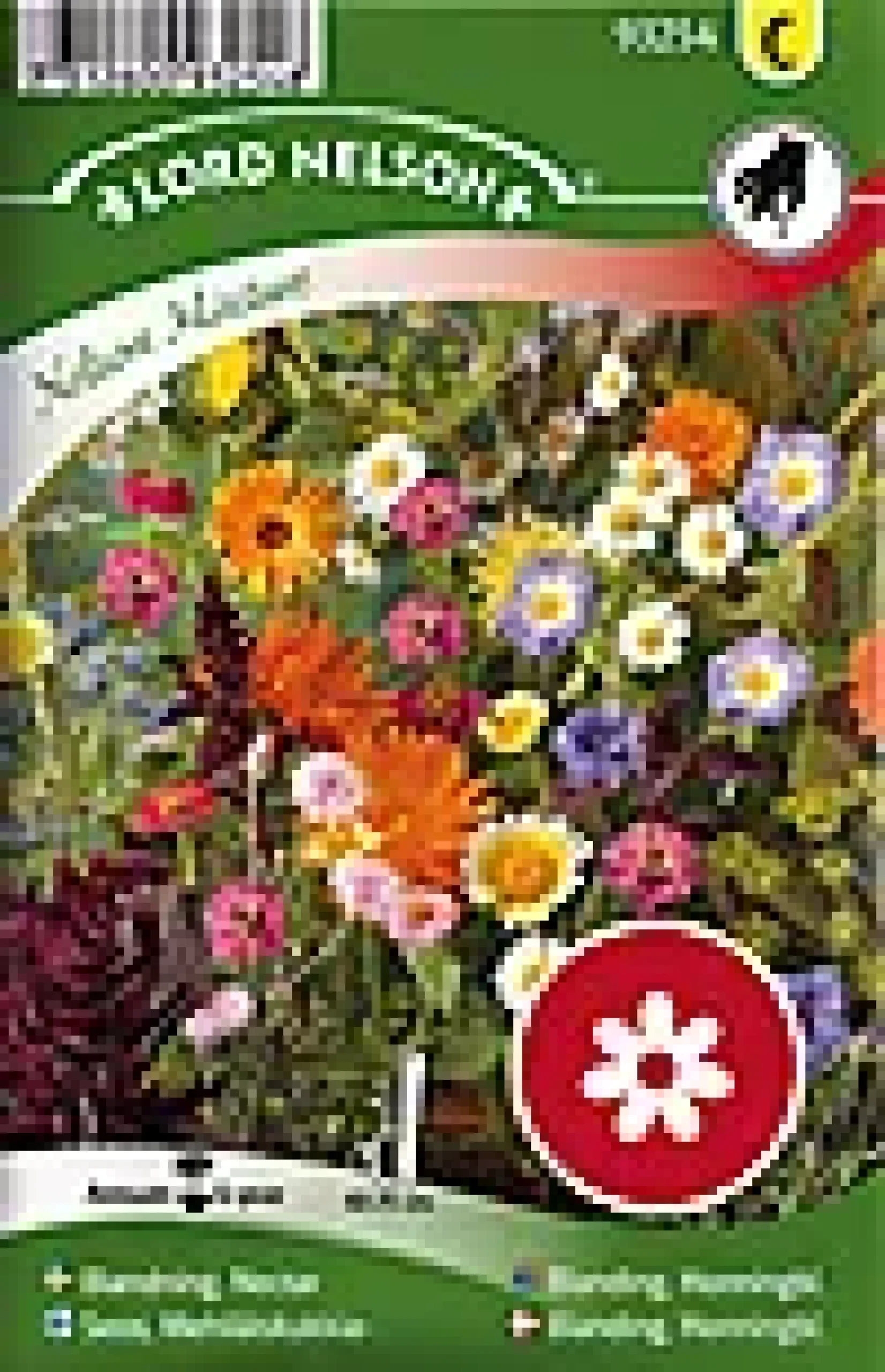 Porsjonsfrø honningblomster-Nelson garden Hot