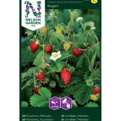 Porsjonsfrø jordbær måneds- rugen-Nelson garden Online