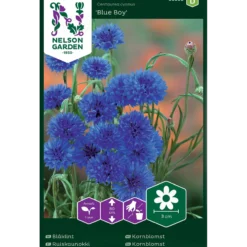 Porsjonsfrø kornblomst blå boy b-Nelson garden Clearance