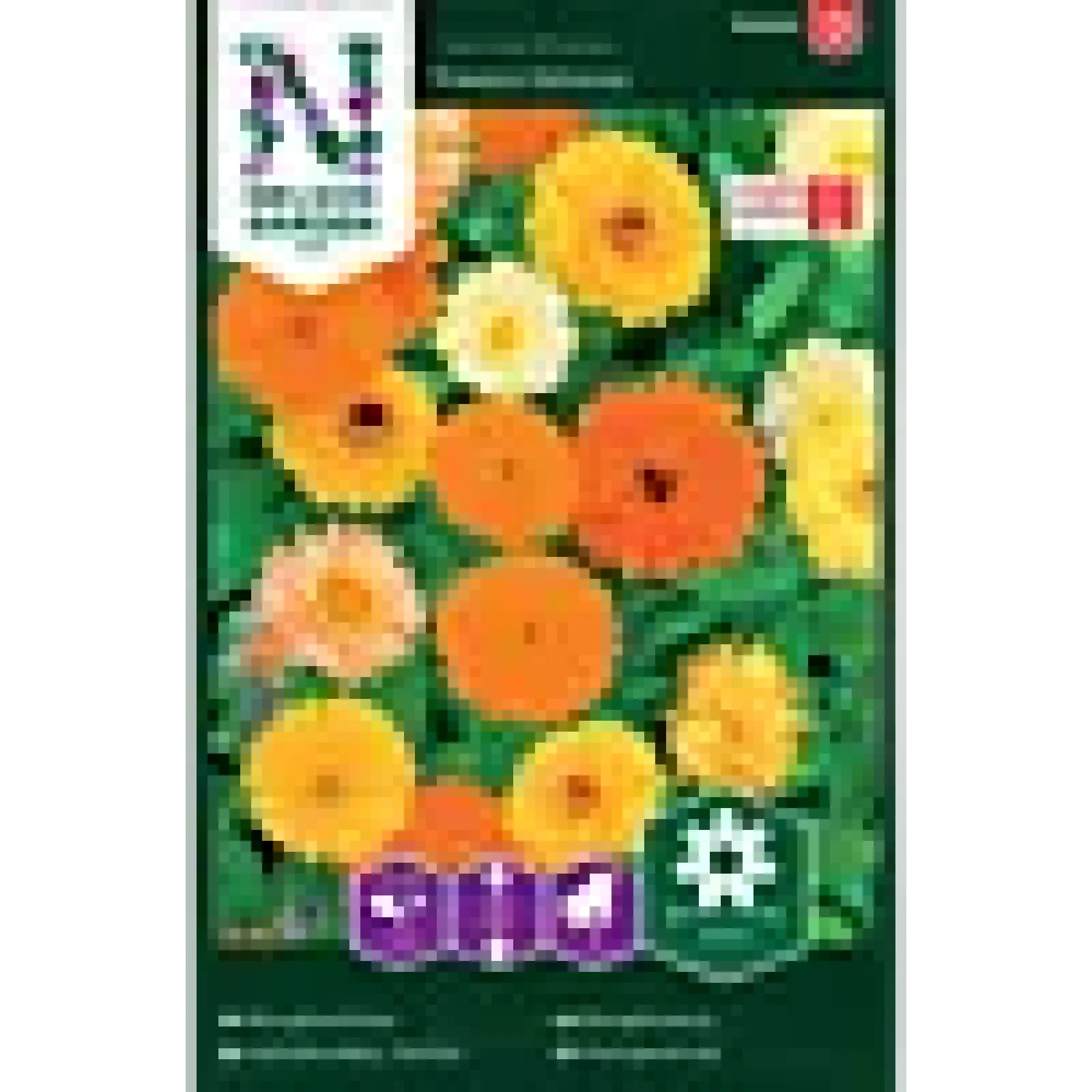 Porsjonsfrø ringblomst-Nelson garden Discount