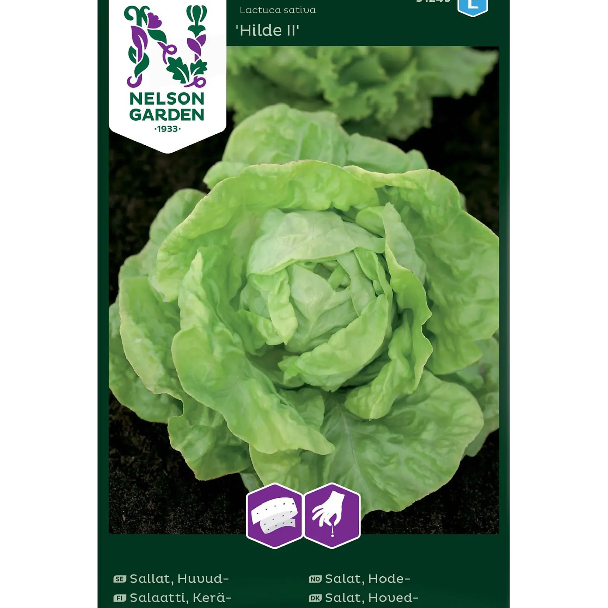 Porsjonsfrø salat hode- hilde-Nelson garden Best