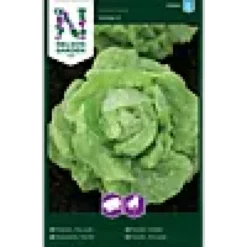 Porsjonsfrø salat hode- hilde-Nelson garden Best