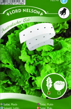Porsjonsfrø salat plukk-Nelson garden New