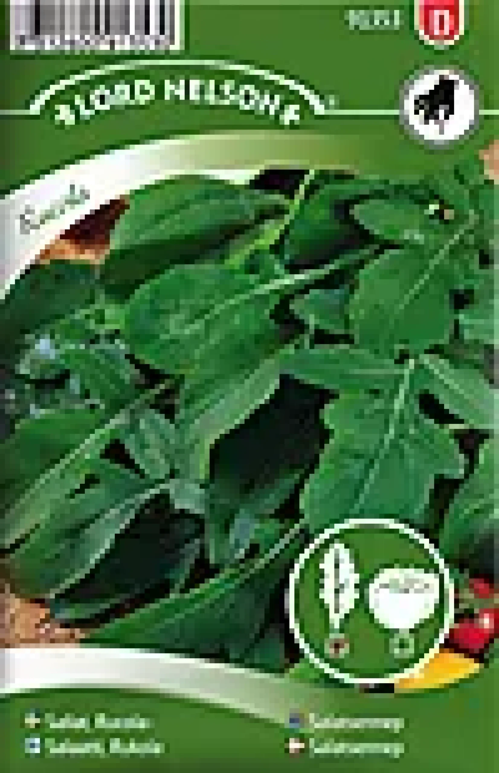 Porsjonsfrø salatsennep rucola-Nelson garden Hot