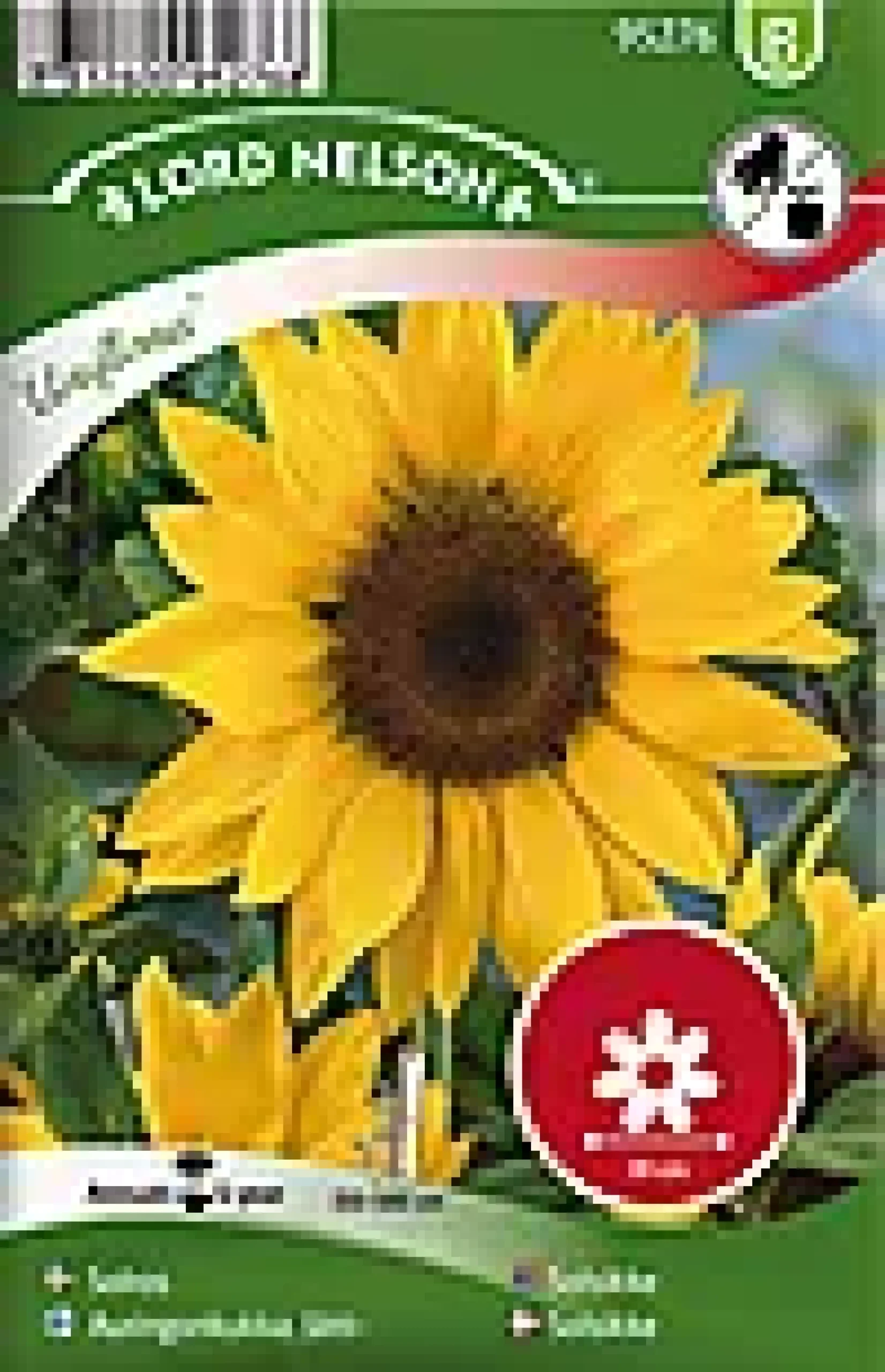 Porsjonsfrø solsikke kjempe- g-Nelson garden Discount