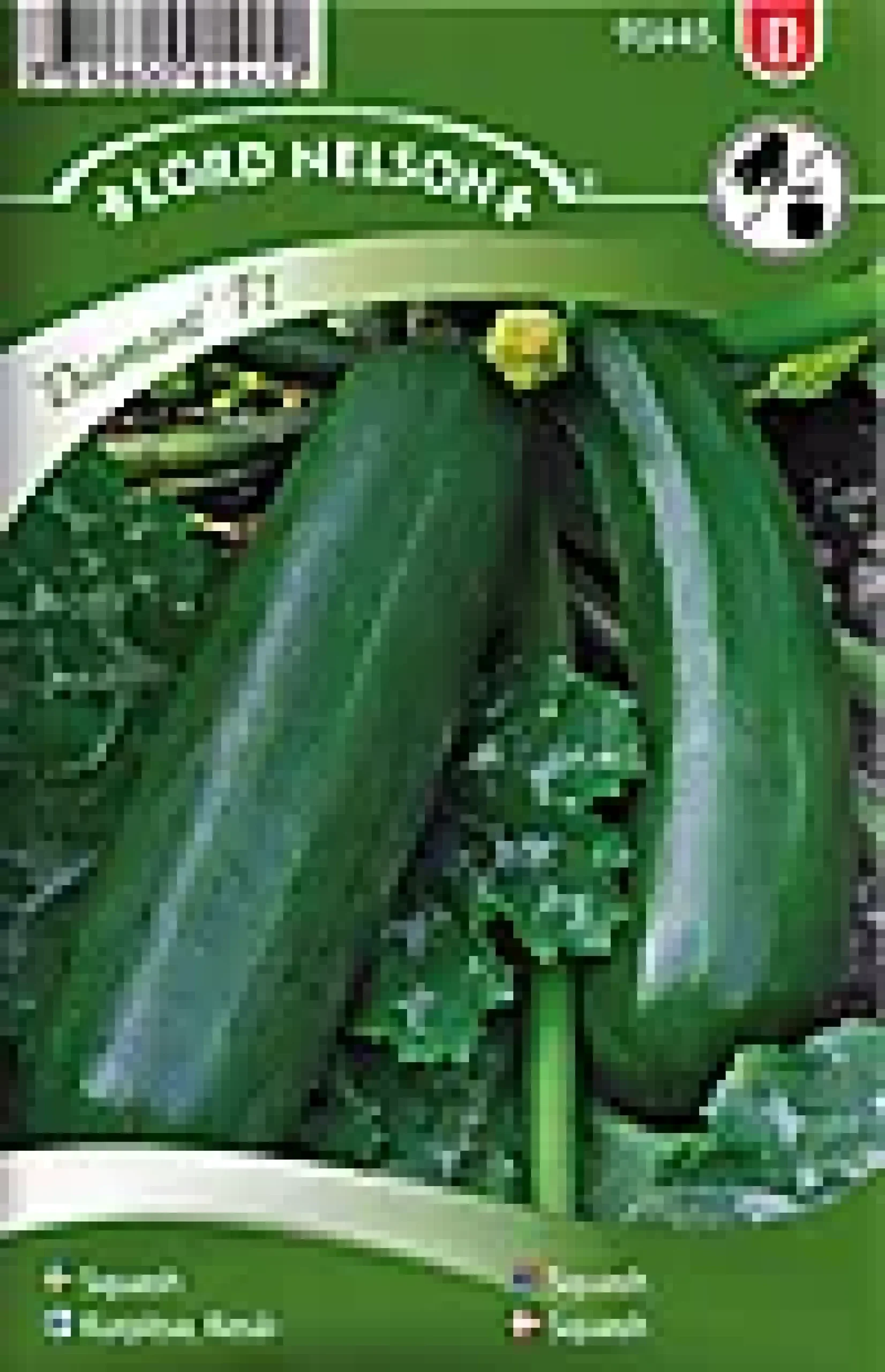 Porsjonsfrø squash diamant f1-Nelson garden Clearance
