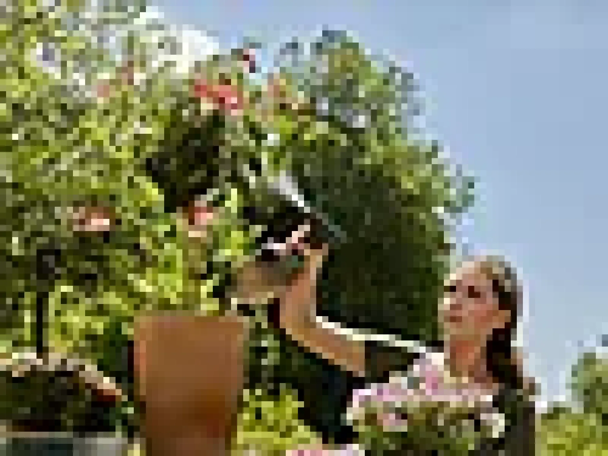 PUMPESPRØYTE 1 L-Gardena Online