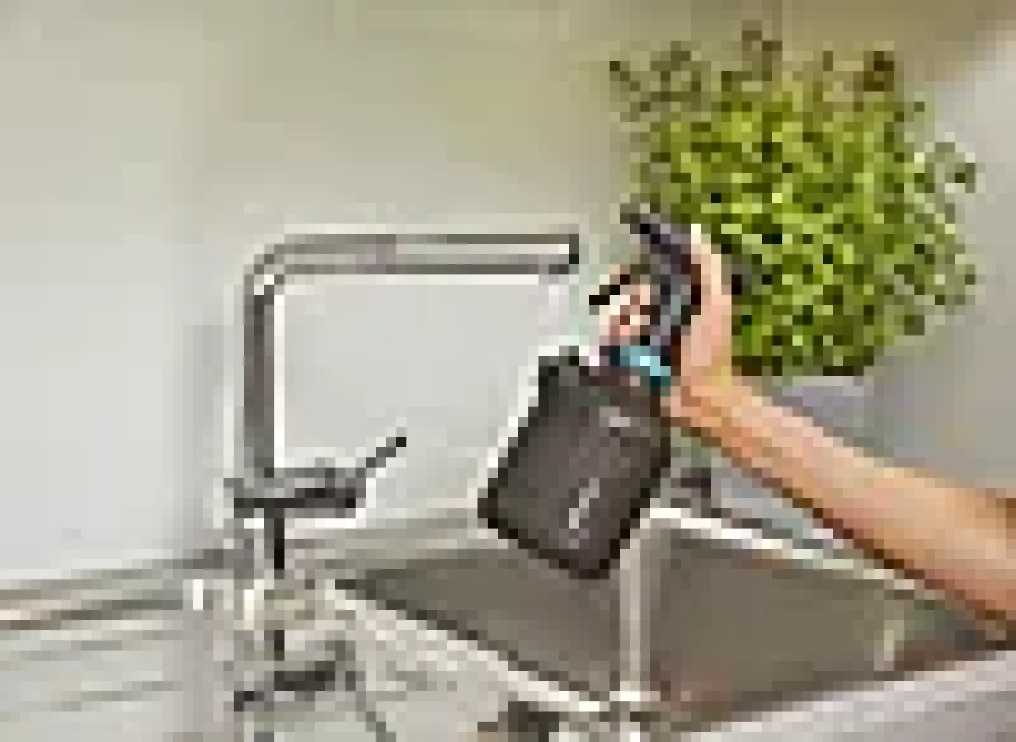 PUMPESPRØYTE 1 L-Gardena Online