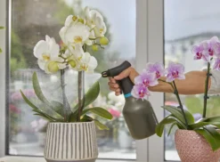 PUMPESPRØYTE 1L EASYPUMP-Gardena Best