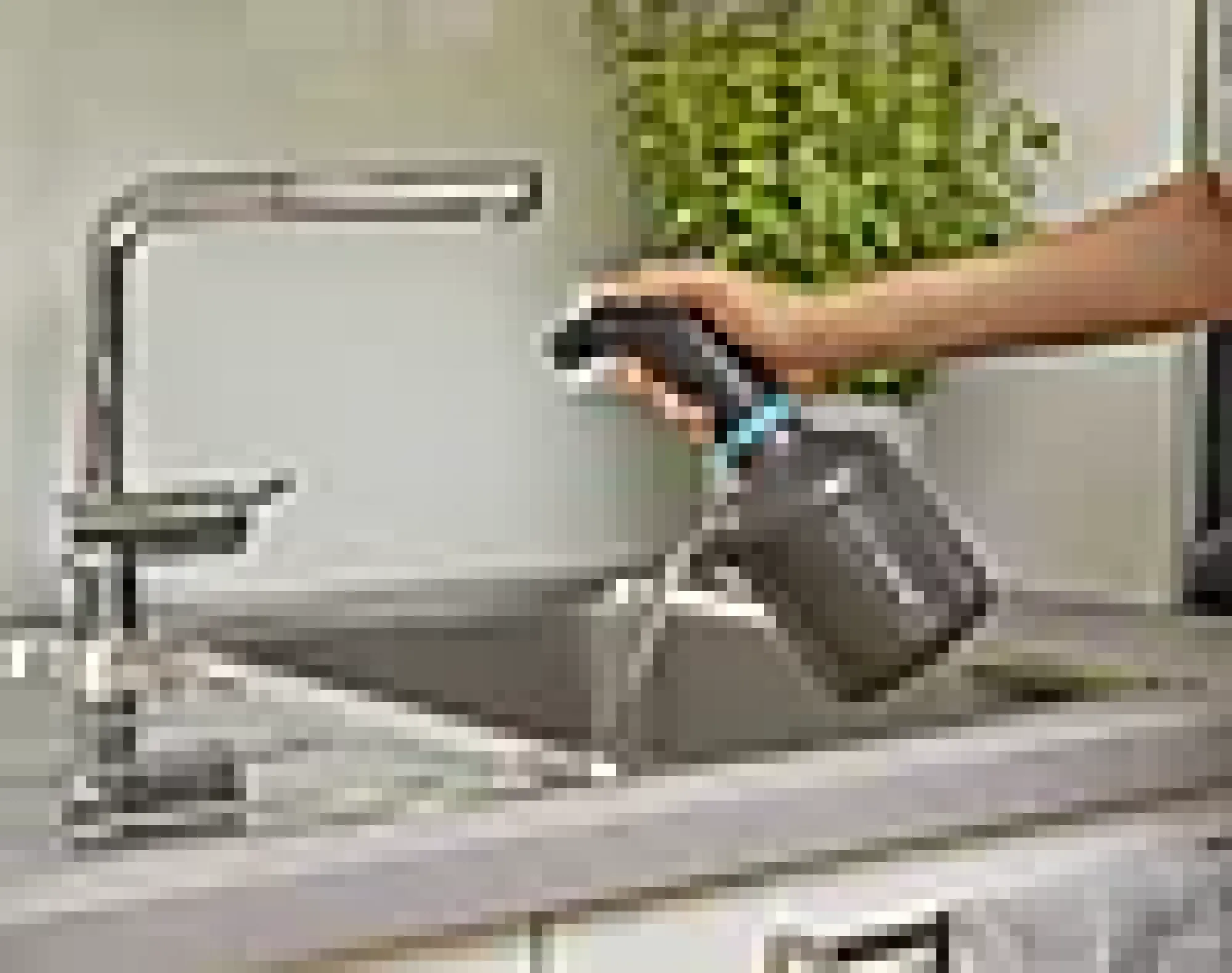 PUMPESPRØYTE 1L EASYPUMP-Gardena Best