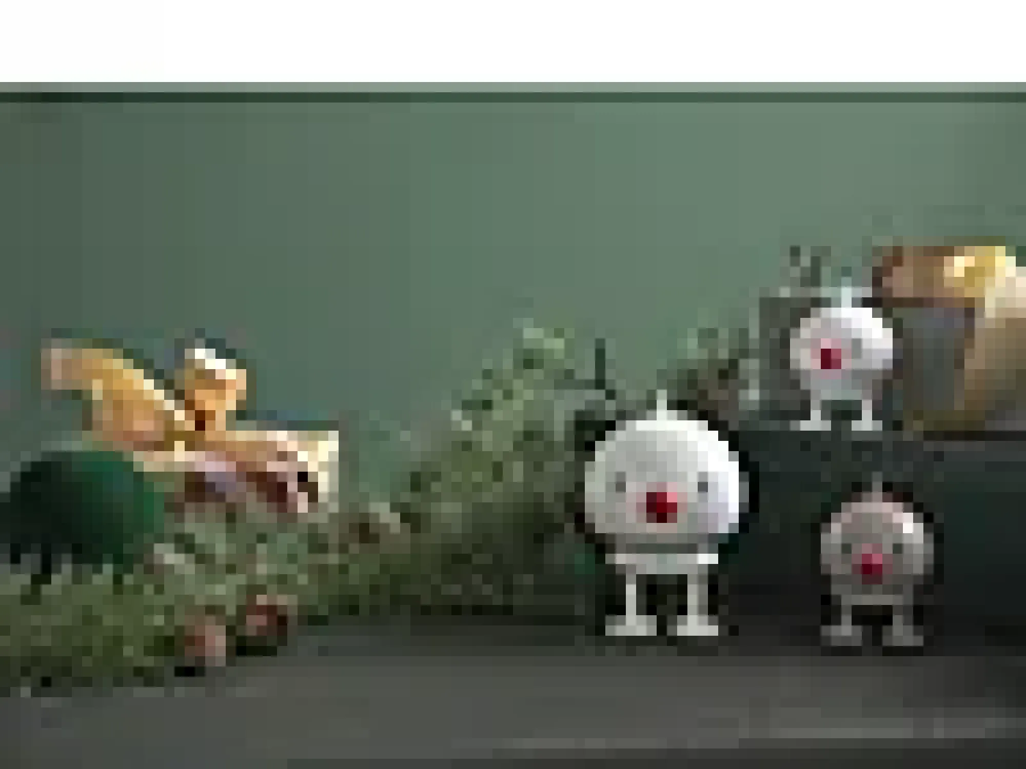 Reindeer bumble s latte-Hoptimist New
