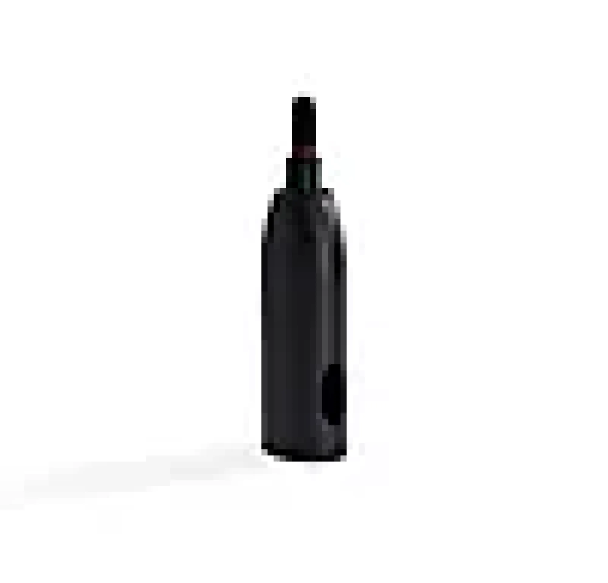 Rett adapter for børster og munnstykker-Wagner New