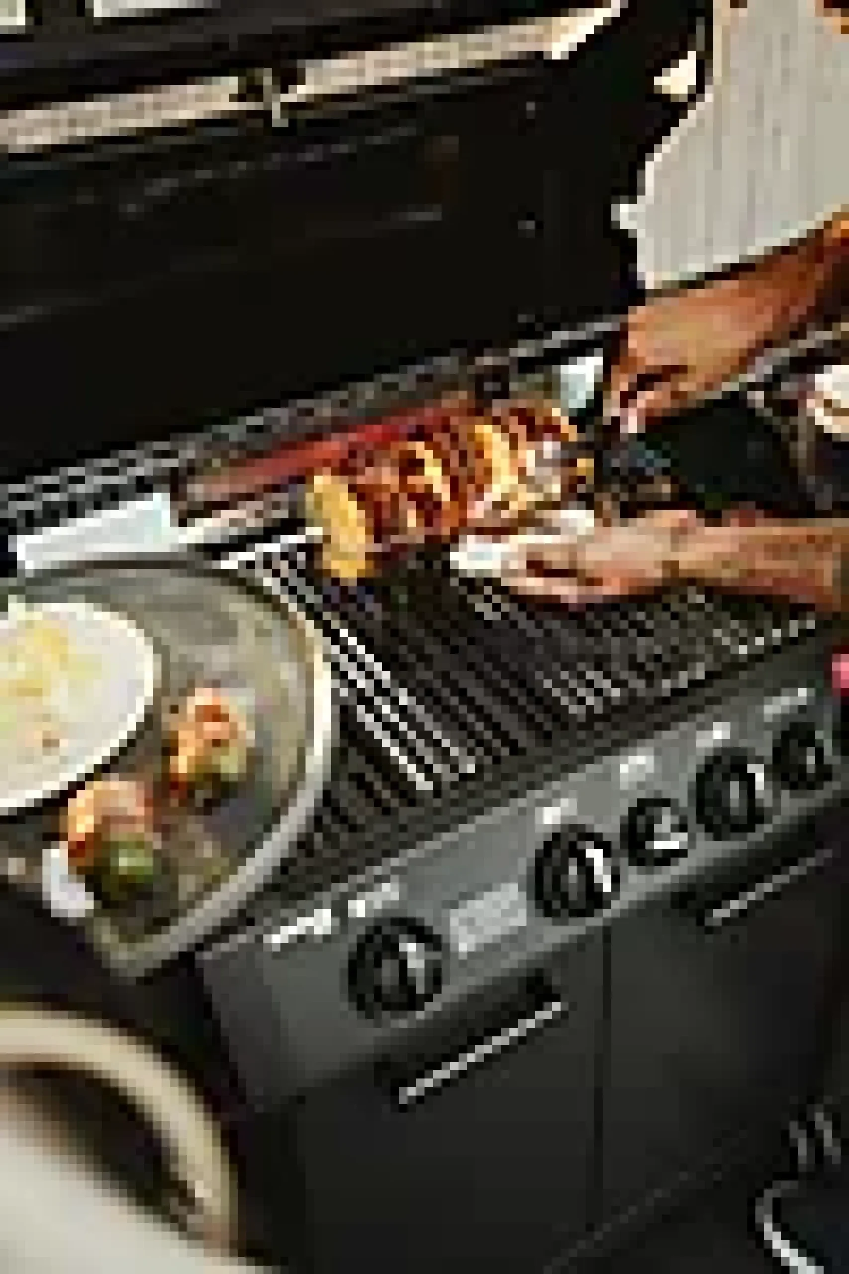 Rotisserie Boston Black til 3 og 4 brenner-Enders Online