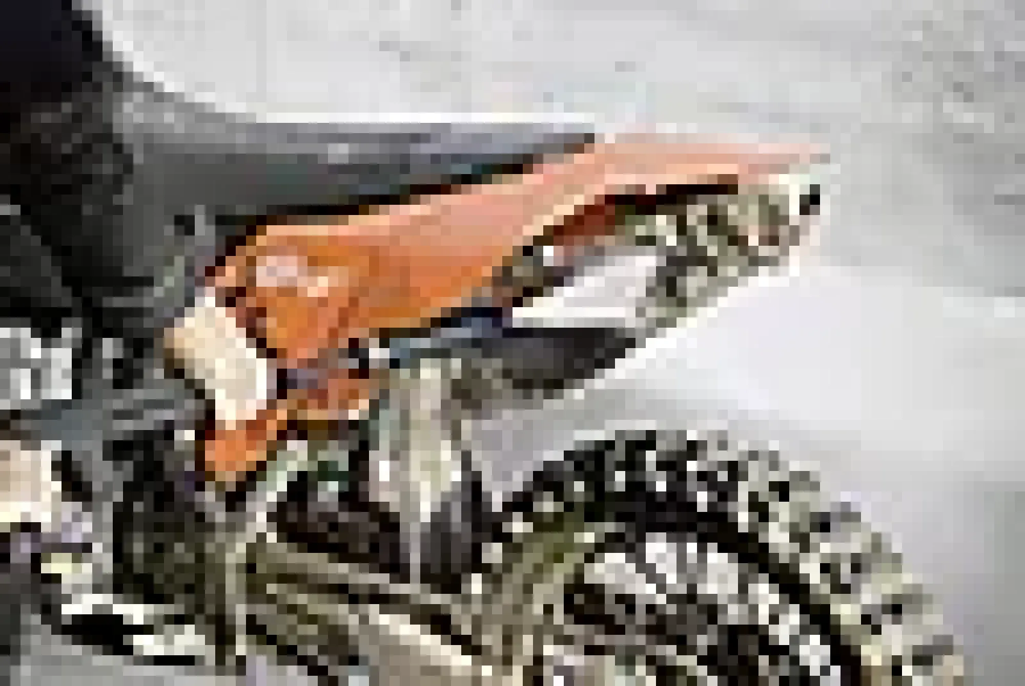 Rotojet DB 145 FC k4-k5-Kärcher Best