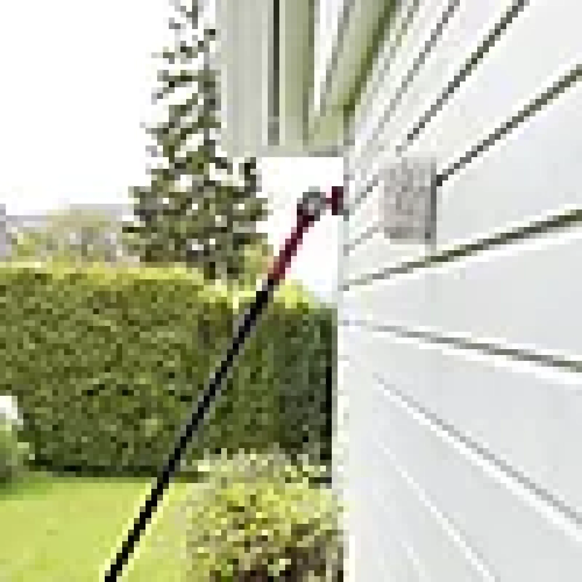 Rullesett hus og gjerde 14cm perfect-Jordan Discount