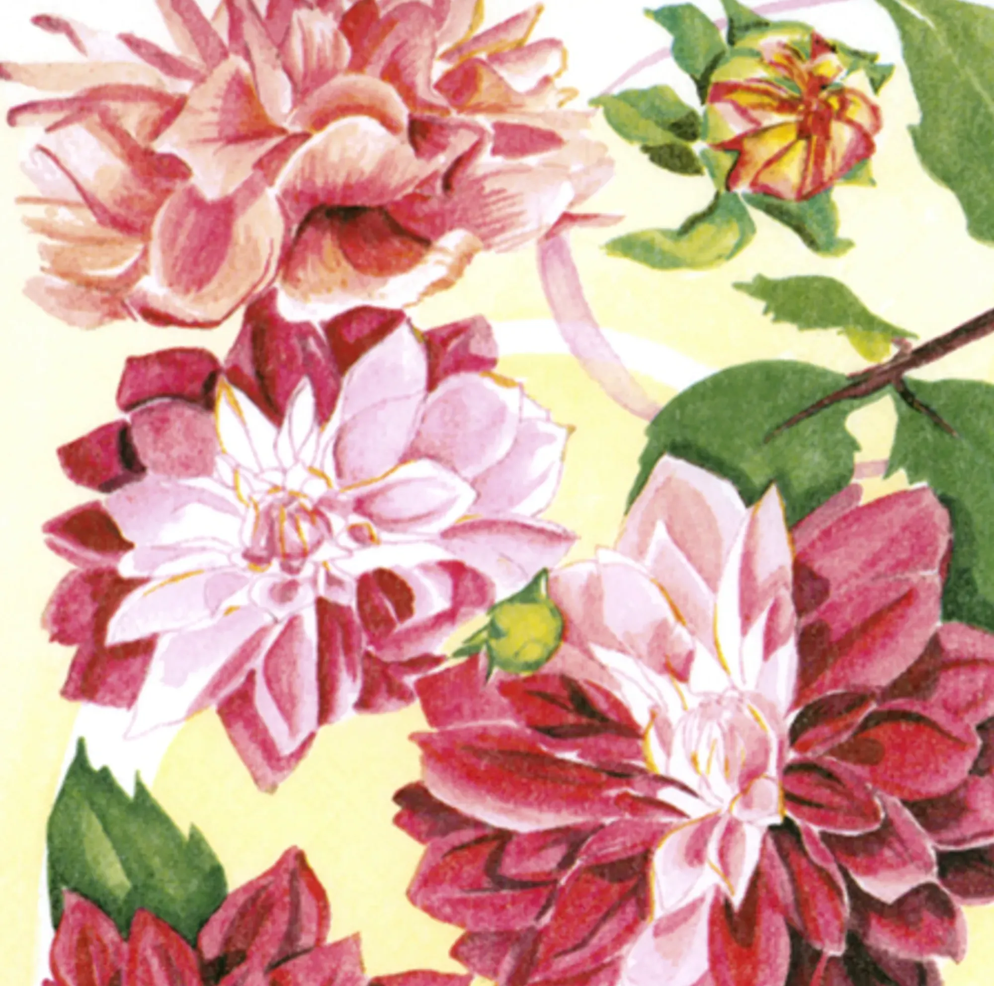 Servietter 33x33cm Dahlia-Daybyday New