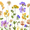 Servietter 33x33cm Pressed Flowers-Daybyday Discount