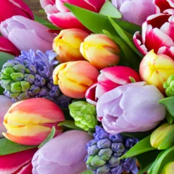 Servietter 33x33cm Spring Bouquet-Daybyday New