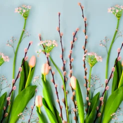 Servietter 33x33cm Tulips and Catkin-Daybyday