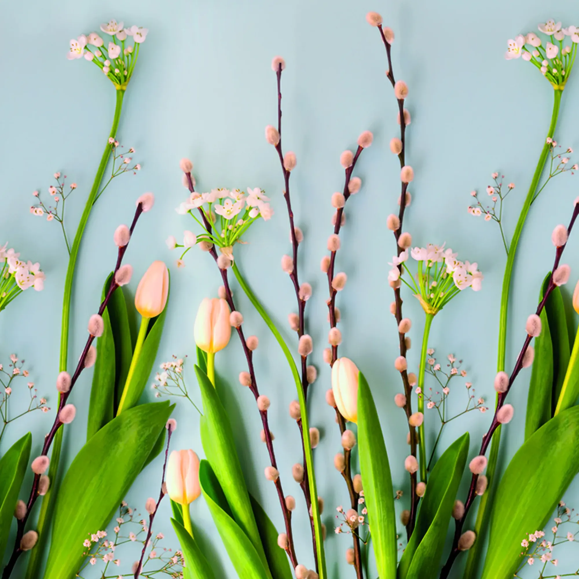 Servietter 33x33cm Tulips and Catkin-Daybyday