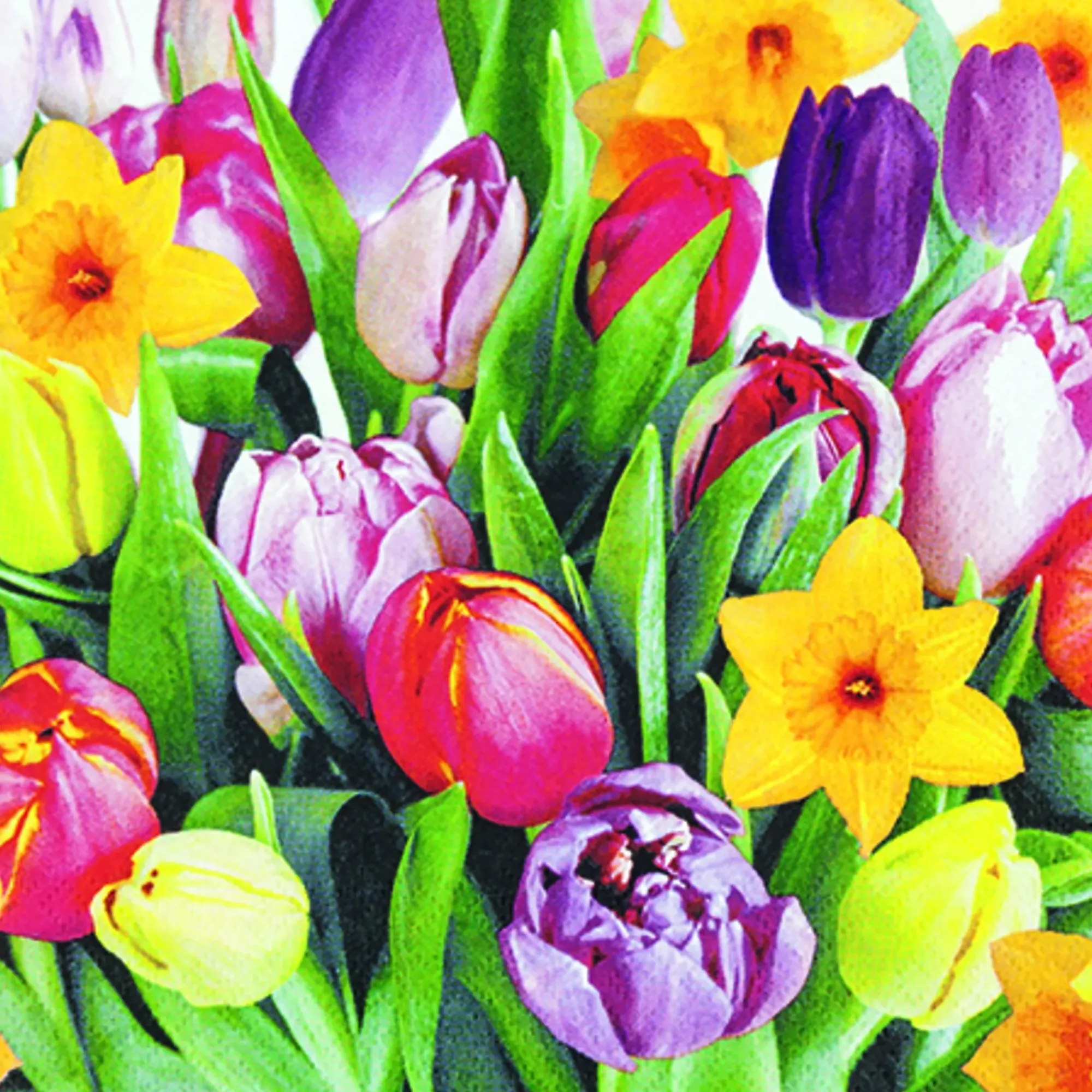 Servietter 33x33cm Vårblomster-Home fashion Outlet