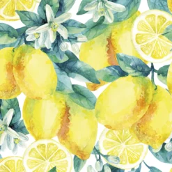 Servietter 33x33cm Watercolor Lemons white-Daybyday Outlet