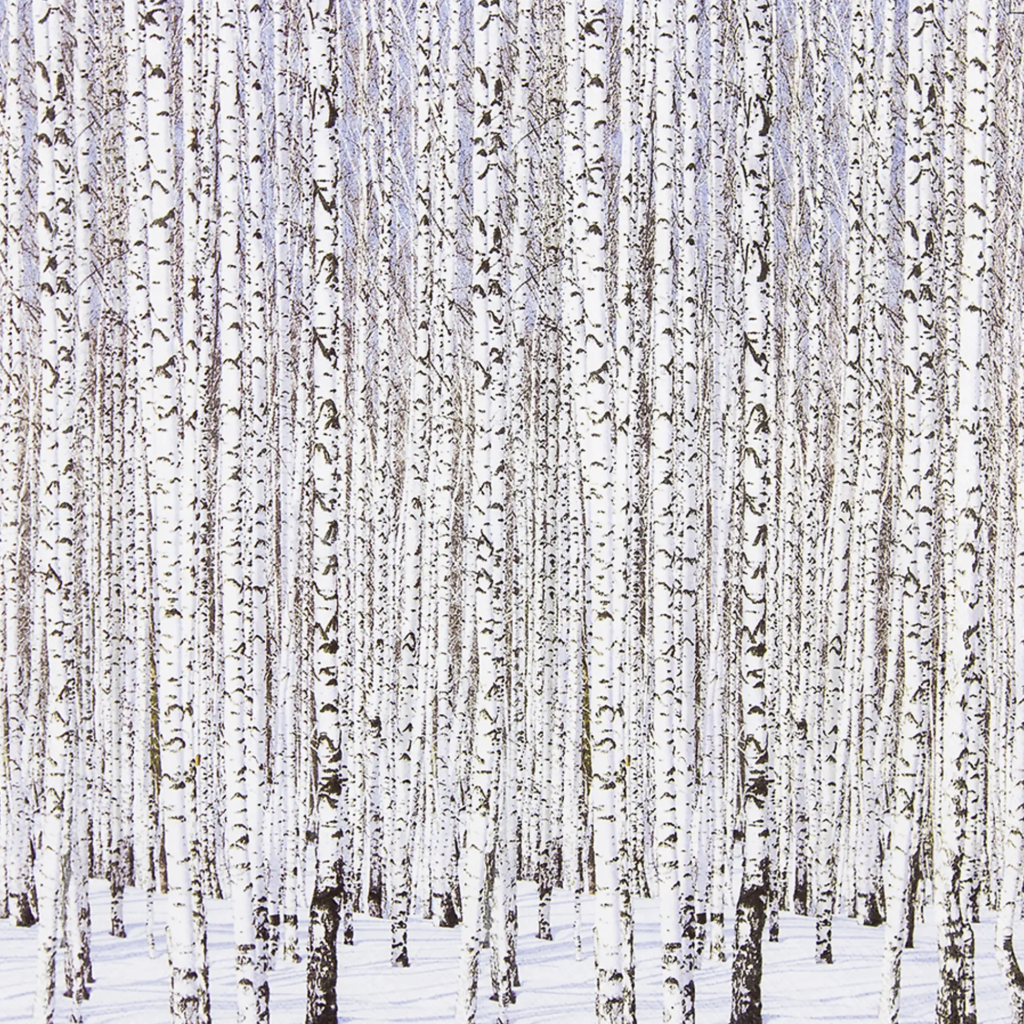 Servietter 33x33cm Winter Birches- Online
