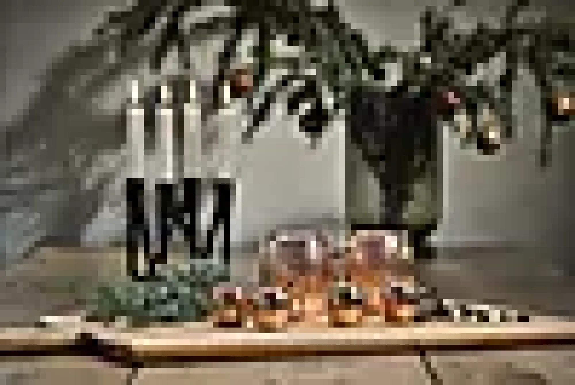 Shotglass 4stk-Lyngby glas Best