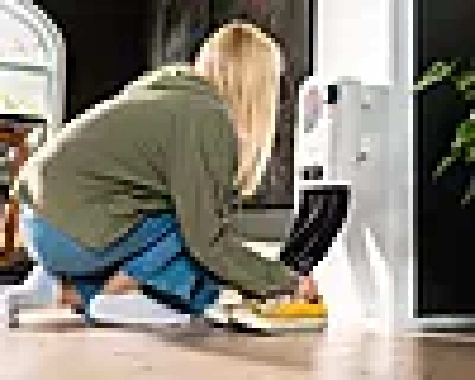 Skotørker LBH-07 350W, 4 slanger, 120 minutters tidsur- Discount