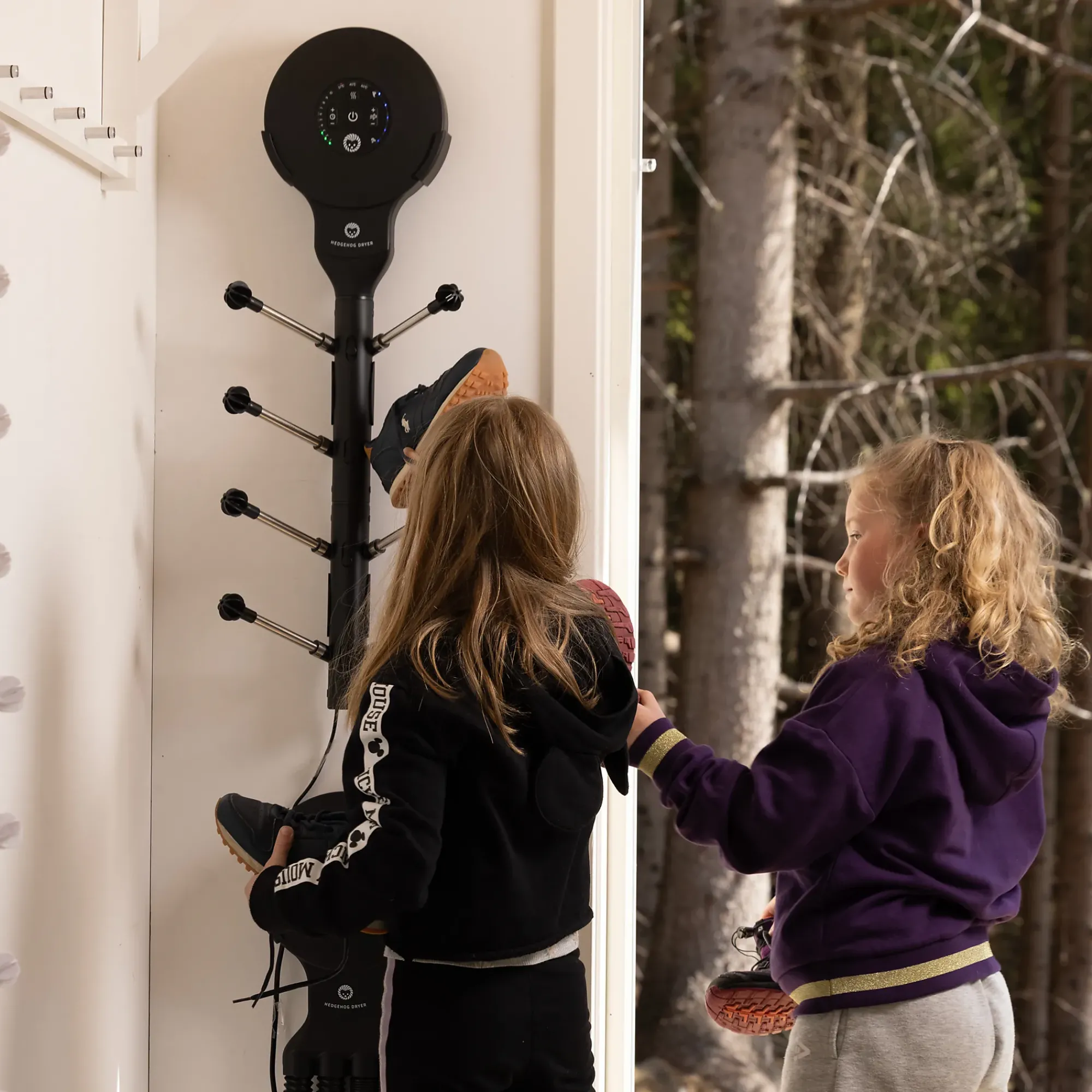 Skotørker Wall Svart Ionic I3-Hedgehog dryer Sale